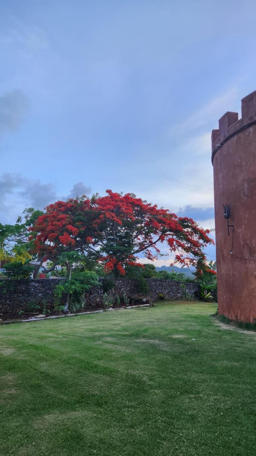 El Castillo Las Galeras Exterior foto